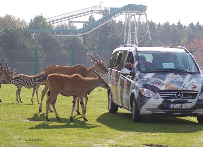 safari park deutschland auto